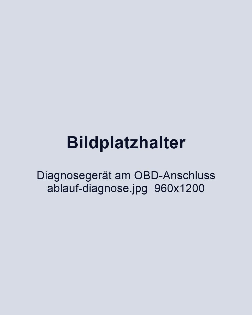 Diagnosegerät am OBD-Anschluss