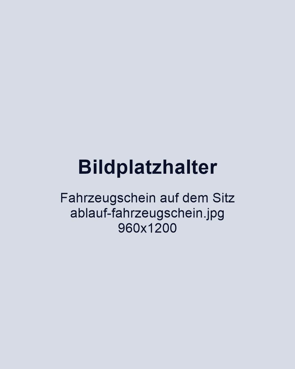 Fahrzeugschein auf dem Beifahrersitz