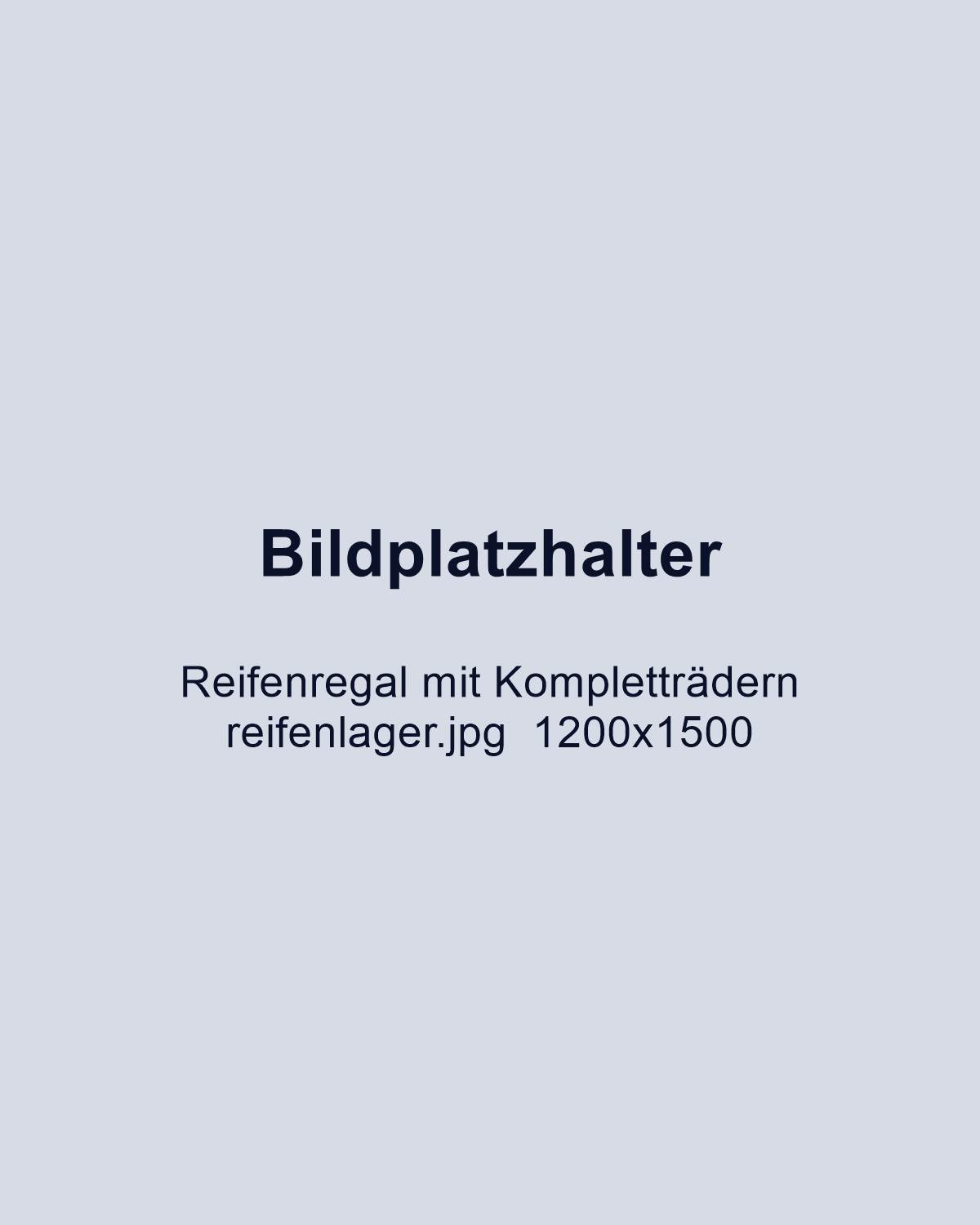 Regal mit eingelagerten Kompletträdern